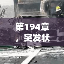 第194章，突發(fā)狀況緊急來襲