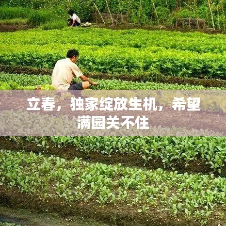 立春，獨(dú)家綻放生機(jī)，希望滿園關(guān)不住