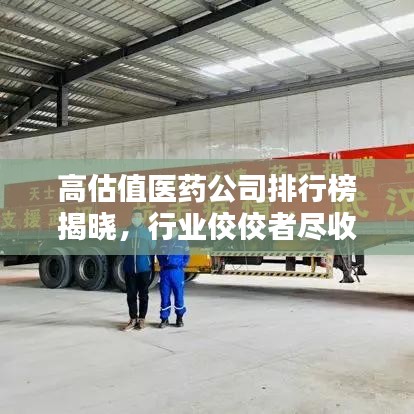 高估值醫(yī)藥公司排行榜揭曉，行業(yè)佼佼者盡收眼底！