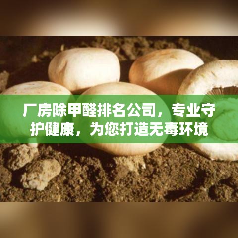 人貴自立 第2頁