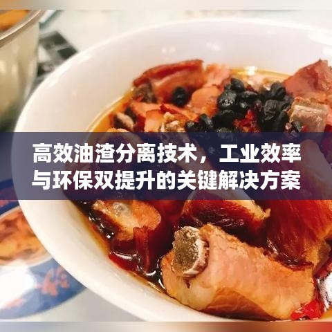 高效油渣分離技術(shù)，工業(yè)效率與環(huán)保雙提升的關(guān)鍵解決方案