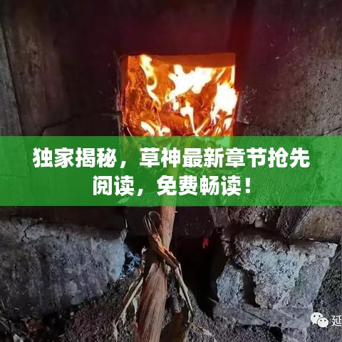 獨(dú)家揭秘，草神最新章節(jié)搶先閱讀，免費(fèi)暢讀！