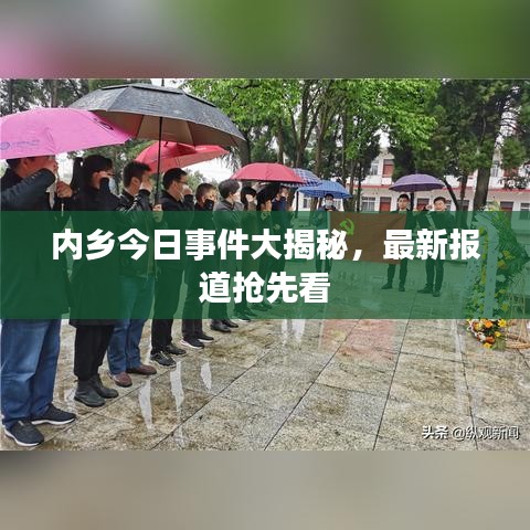 內(nèi)鄉(xiāng)今日事件大揭秘，最新報道搶先看