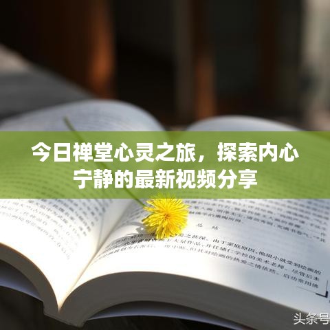 今日禪堂心靈之旅，探索內心寧靜的最新視頻分享