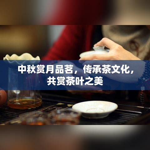 中秋賞月品茗，傳承茶文化，共賞茶葉之美
