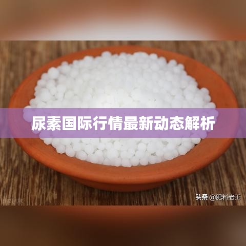 尿素國(guó)際行情最新動(dòng)態(tài)解析