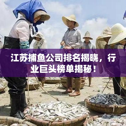 江蘇捕魚公司排名揭曉，行業(yè)巨頭榜單揭秘！