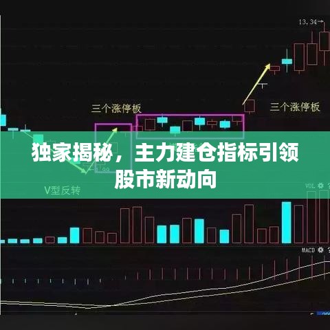 獨(dú)家揭秘，主力建倉(cāng)指標(biāo)引領(lǐng)股市新動(dòng)向