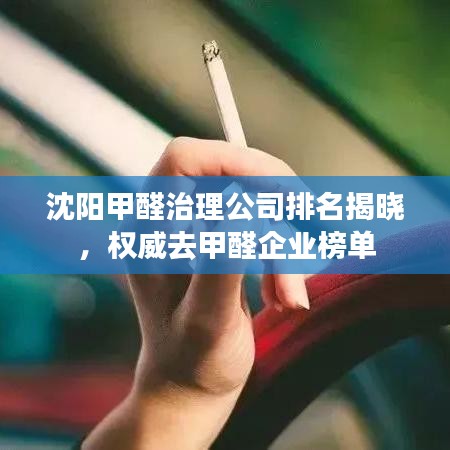 沈陽甲醛治理公司排名揭曉，權(quán)威去甲醛企業(yè)榜單