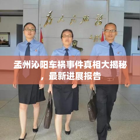孟州沁陽車禍事件真相大揭秘，最新進展報告