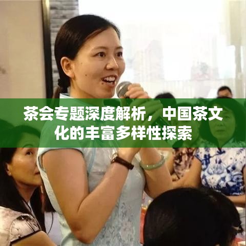 茶會(huì)專(zhuān)題深度解析，中國(guó)茶文化的豐富多樣性探索