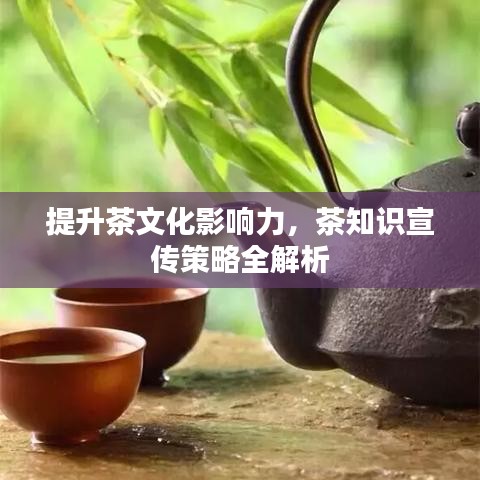 提升茶文化影響力，茶知識(shí)宣傳策略全解析