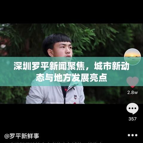 深圳羅平新聞聚焦，城市新動(dòng)態(tài)與地方發(fā)展亮點(diǎn)