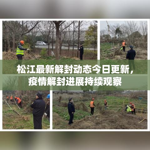 松江最新解封動(dòng)態(tài)今日更新，疫情解封進(jìn)展持續(xù)觀察
