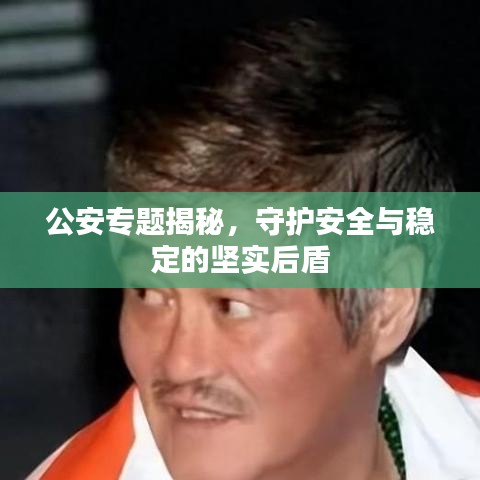 公安專題揭秘，守護安全與穩(wěn)定的堅實后盾