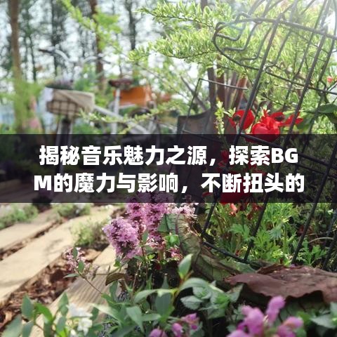揭秘音樂魅力之源，探索BGM的魔力與影響，不斷扭頭的韻律震撼