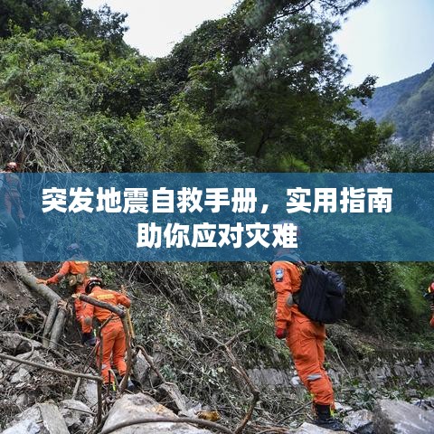 突發(fā)地震自救手冊，實用指南助你應對災難