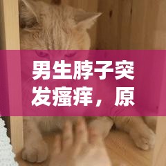 花容月貌 第2頁