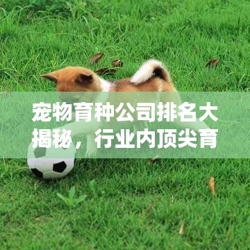 寵物育種公司排名大揭秘，行業(yè)內(nèi)頂尖育種企業(yè)榜單！