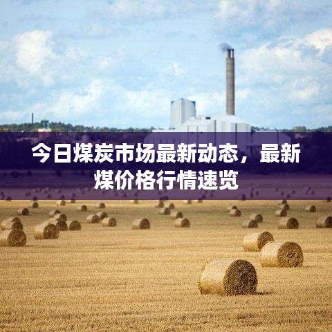 今日煤炭市場最新動態(tài)，最新煤價格行情速覽