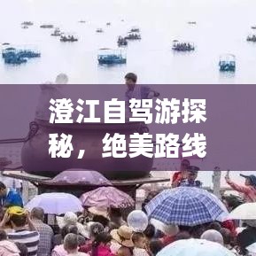 澄江自駕游探秘，絕美路線一網(wǎng)打盡！