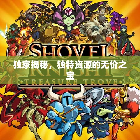 獨(dú)家揭秘，獨(dú)特資源的無價(jià)之寶