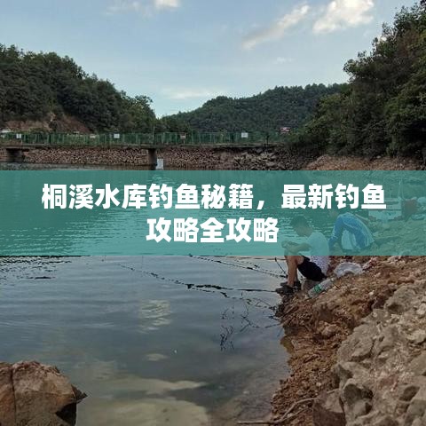 桐溪水庫釣魚秘籍，最新釣魚攻略全攻略