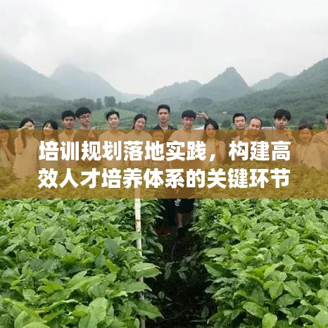 培訓規(guī)劃落地實踐，構(gòu)建高效人才培養(yǎng)體系的關(guān)鍵環(huán)節(jié)