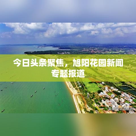 今日頭條聚焦，旭陽花園新聞專題報道