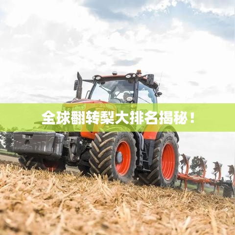 全球翻轉(zhuǎn)梨大排名揭秘！