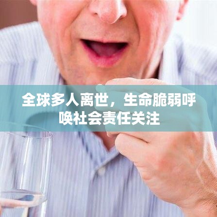 全球多人離世，生命脆弱呼喚社會責(zé)任關(guān)注