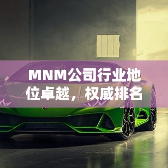 MNM公司行業(yè)地位卓越，權威排名揭曉！