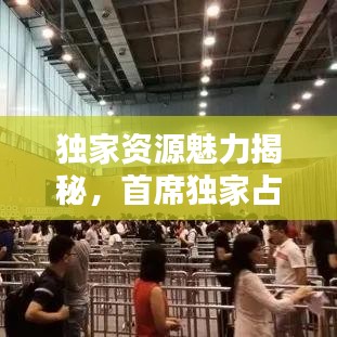獨(dú)家資源魅力揭秘，首席獨(dú)家占有下載全攻略