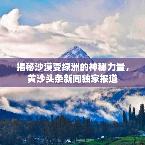 揭秘沙漠變綠洲的神秘力量，黃沙頭條新聞獨(dú)家報(bào)道