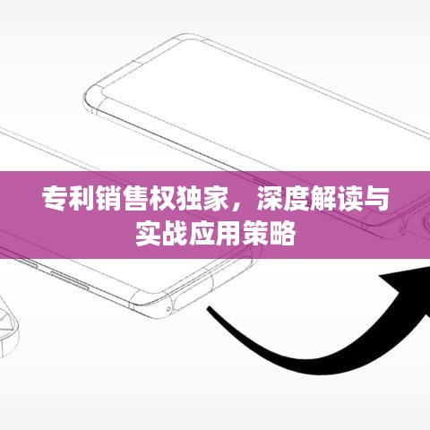 專利銷售權獨家，深度解讀與實戰(zhàn)應用策略