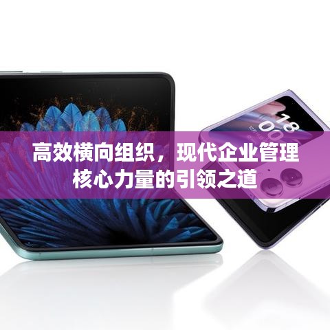 高效橫向組織，現(xiàn)代企業(yè)管理核心力量的引領(lǐng)之道