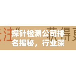 探針檢測(cè)公司排名揭秘，行業(yè)深度分析與趨勢(shì)預(yù)測(cè)