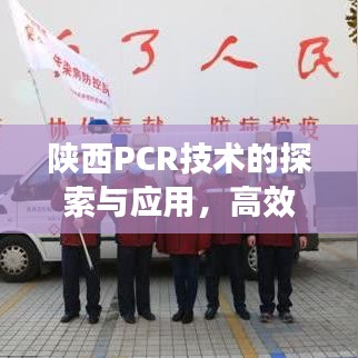 陜西PCR技術(shù)的探索與應(yīng)用，高效實踐與發(fā)展之路