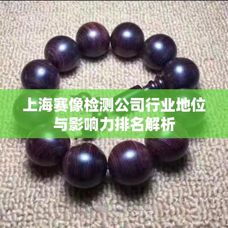 上海賽像檢測(cè)公司行業(yè)地位與影響力排名解析
