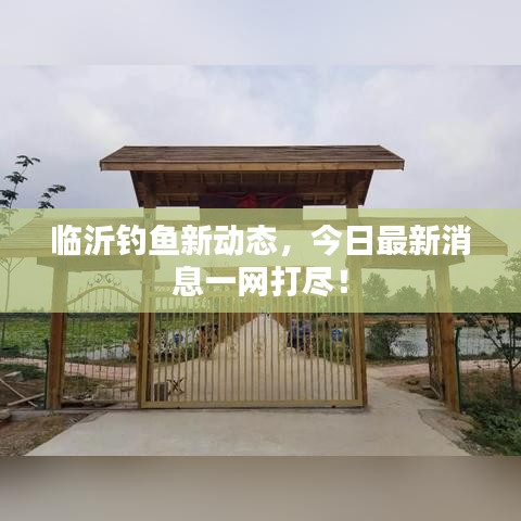 臨沂釣魚(yú)新動(dòng)態(tài)，今日最新消息一網(wǎng)打盡！