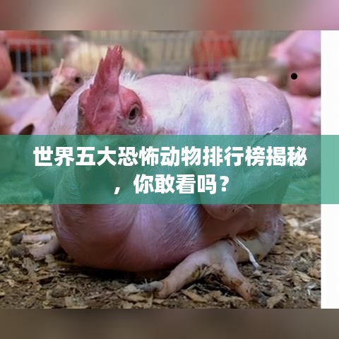 世界五大恐怖動物排行榜揭秘，你敢看嗎？