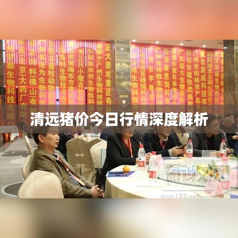 清遠(yuǎn)豬價(jià)今日行情深度解析