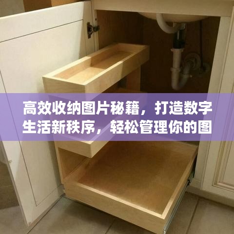高效收納圖片秘籍，打造數(shù)字生活新秩序，輕松管理你的圖片世界！
