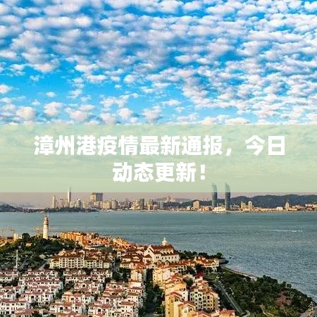 漳州港疫情最新通報，今日動態(tài)更新！
