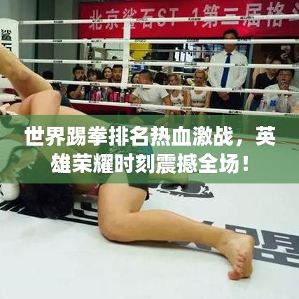 世界踢拳排名熱血激戰(zhàn)，英雄榮耀時刻震撼全場！