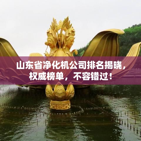 山東省凈化機(jī)公司排名揭曉，權(quán)威榜單，不容錯(cuò)過(guò)！