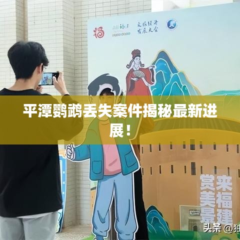 平潭鸚鵡丟失案件揭秘最新進(jìn)展！