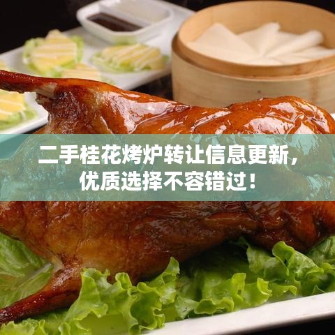 二手桂花烤爐轉(zhuǎn)讓信息更新，優(yōu)質(zhì)選擇不容錯(cuò)過！