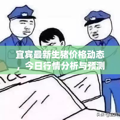 宜賓最新生豬價格動態(tài)，今日行情分析與預測