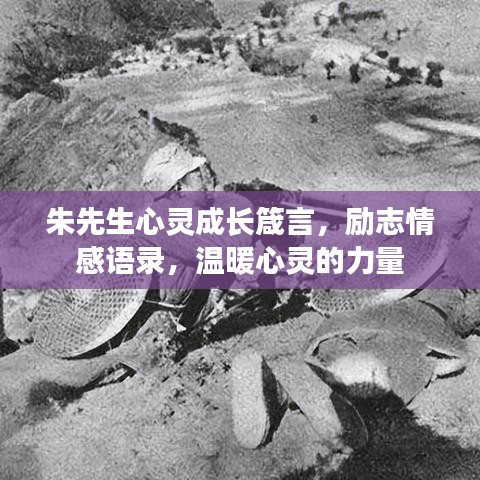 無冬無夏 第2頁